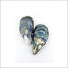 Navah Langmeyer - Mussel Shell Pair Brooch