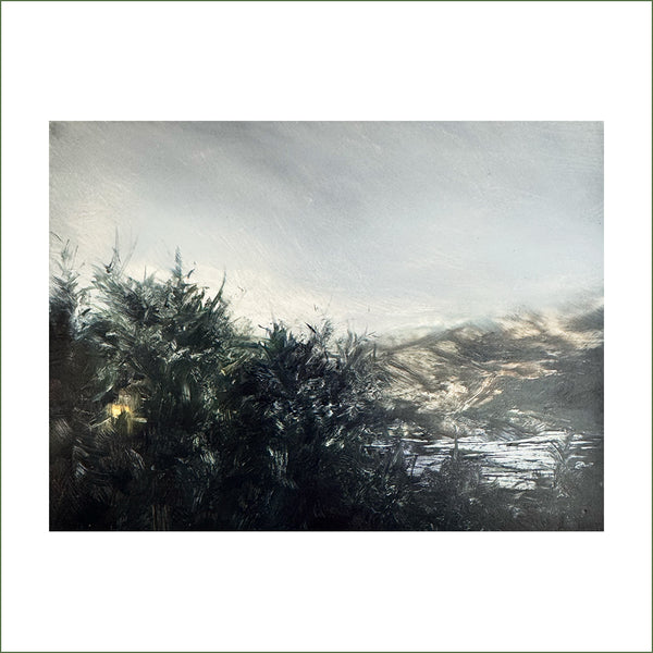 Sarah Bold - Clear Cut II