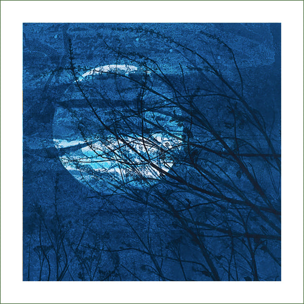 Louise Worthy - The Depths of the Night