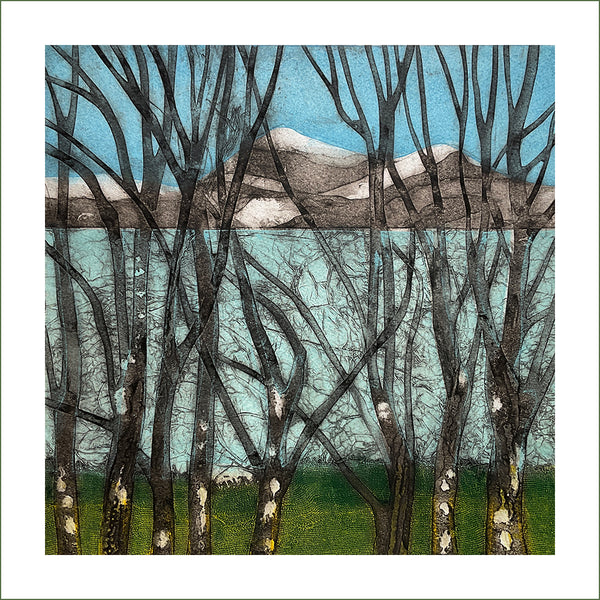 Sarah Ross-Thompson - Silvering